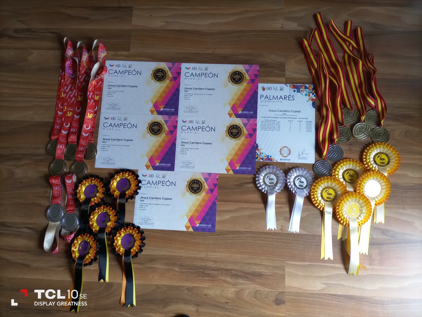 Los cinco diplomas de Campeón Mundial UoM 2022 con el palmarés acreditativo de España, medallas y escarapelas.